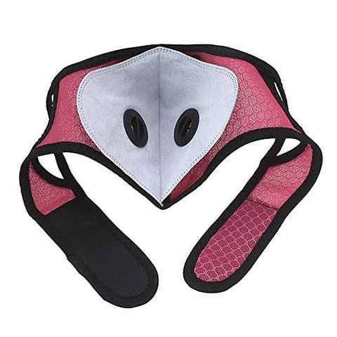 ASA Techmed Pink Sports Reusable Dual Air Breathing Valve Mask Cycling Mask Face Cover with Activated Carbon Filter - ASA TECHMED