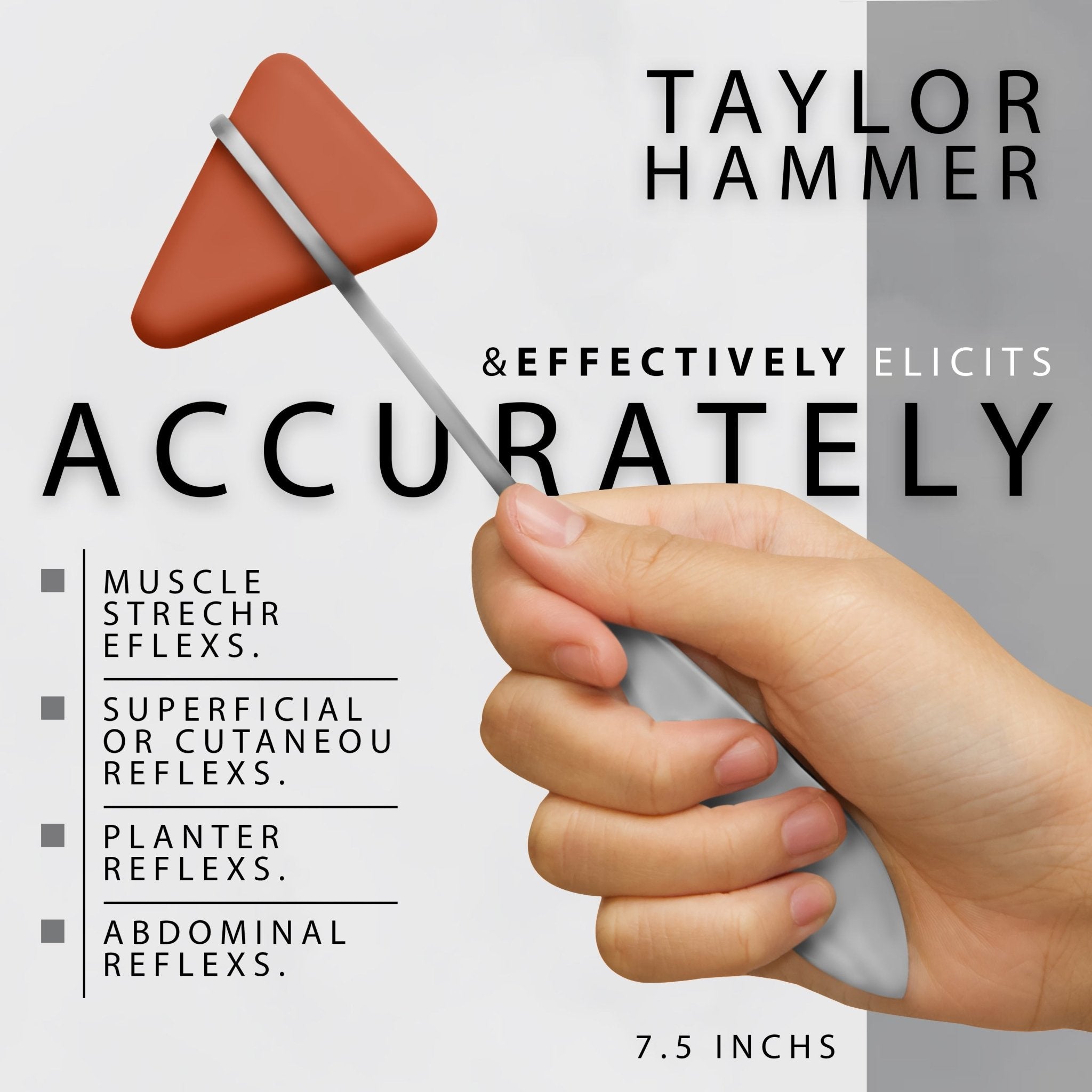 Close-up of a hand holding a red Taylor percussion hammer, with text listing diagnostic uses such as muscle stretch, plantar, and abdominal reflexes.