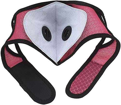 ASA Techmed Reusable Gym/Sports Face mask Dust Mask With FIlter and Dual Valve For easy breathing Adjustable for Running, Cycling and outdoor activities. (Activated Charcoal Filter) (Hot Pink) - ASA TECHMED