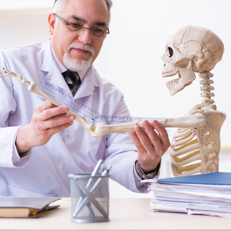 Doctor holding a skeleton model's arm and using a goniometer to measure the elbow angle.