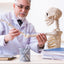 Goniometer & Inclinometer Set – Joint Motion Measurement Tools for Physical Therapy, Students & Professionals - ASA TECHMED