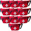 Red Lifeguard Fanny Pack - 3 Pocket First Aid Waist Bag - ASA TECHMED